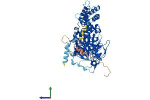 Protein Structure (PS) image for G Protein-Coupled Receptor Kinase 6 (GRK6) (AA 1-576) protein (His tag) (ABIN7554068)
