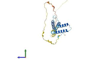 Protein Structure (PS) image for Hairy and Enhancer of Split 4 (HES4) (AA 1-221) protein (His tag) (ABIN7548293)