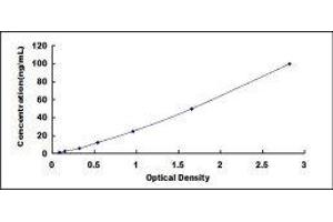 ELISA image for Glycoprotein Ib (Platelet), alpha Polypeptide (GP1BA) ELISA Kit (ABIN417579)