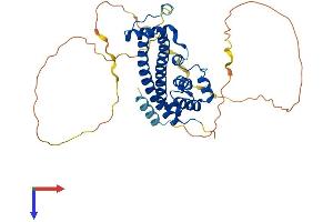 IST1 Protein (AA 1-364) (His tag)