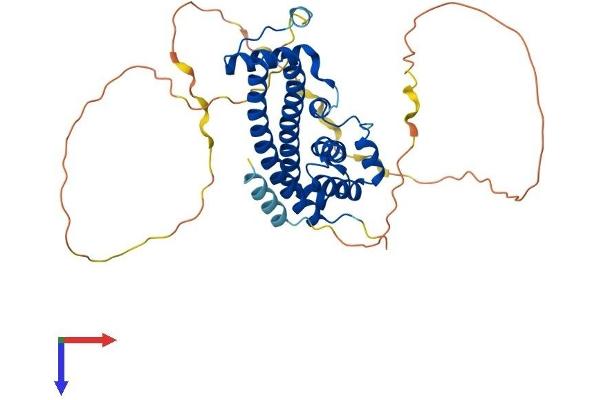 IST1 Protein (AA 1-364) (His tag)