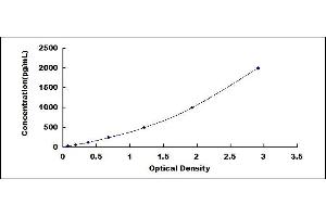 PCMT1 ELISA Kit