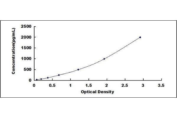 PCMT1 ELISA Kit