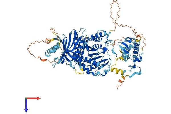 C4ORF23 Protein (AA 1-713) (His tag)