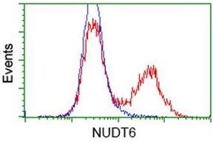 HEK293T cells transfected with either RC203470 overexpress plasmid (Red) or empty vector control plasmid (Blue) were immunostained by anti-NUDT6 antibody (ABIN2454184), and then analyzed by flow cytometry.