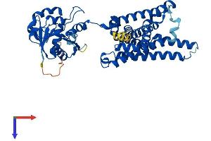 STEAP4 Protein (AA 1-470) (His tag)