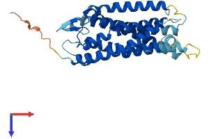 CasLTR2 Protein (AA 1-309) (His tag)