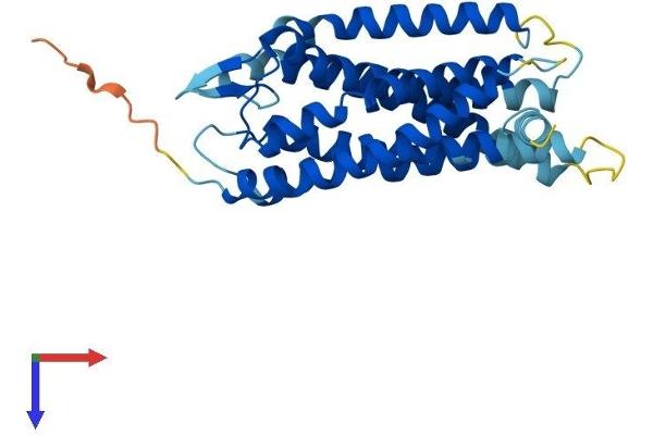 CasLTR2 Protein (AA 1-309) (His tag)