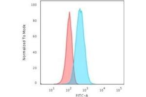 Flow Cytometric Analysis of T98G cells using GFAP Mouse Monoclonal Antibody (GA-5) followed by Goat anti-Mouse IgG-CF488 (Blue); Isotype Control (Red). (GFAP Antikörper)