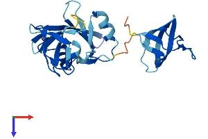 GRB2 Protein (AA 1-217) (His tag)