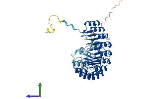 Protein Structure (PS) image for F-Box and Leucine-Rich Repeat Protein 20 (FBXL20) (AA 1-436) protein (His tag) (ABIN7547838)