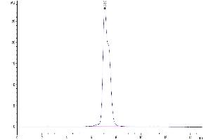Size-exclusion chromatography-High Pressure Liquid Chromatography (SEC-HPLC) image for CD200 Receptor 1 (CD200R1) (AA 27-266) protein (Fc Tag) (ABIN7274114)