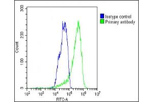 Overlay histogram showing HepG2 cells stained with (ABIN391880 and ABIN2841699)(green line). (CSF1R Antikörper  (C-Term))