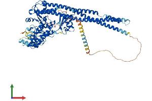 Protein Structure (PS) image for Inhibitor of kappa Light Polypeptide Gene Enhancer in B-Cells, Kinase beta (IKBKB) (AA 1-756) protein (His tag) (ABIN7554165)