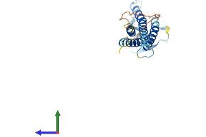Protein Structure (PS) image for Claudin 6 (CLDN6) (AA 1-219) protein (His tag) (ABIN7556410)