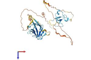TCF19 Protein (AA 1-345) (His tag)