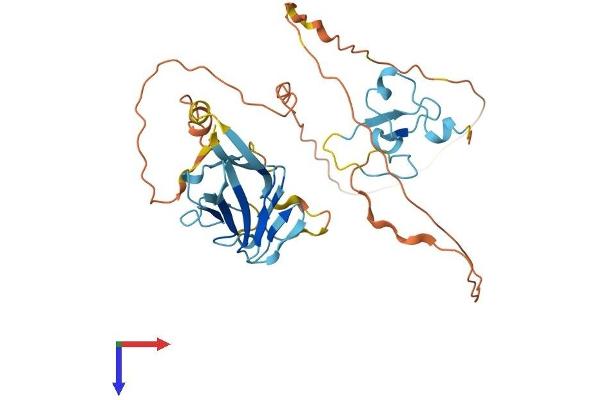 TCF19 Protein (AA 1-345) (His tag)