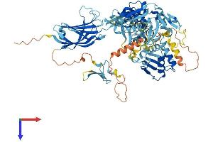 SMURF2 Protein (AA 1-748) (His tag)