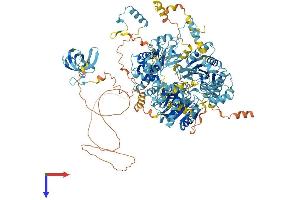 DHX8 Protein (AA 1-1244) (His tag)