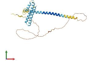 Protein Structure (PS) image for Receptor Accessory Protein 3 (REEP3) (AA 1-255) protein (His tag) (ABIN7551300)