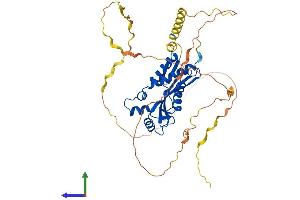 Protein Structure (PS) image for Proline-Rich Coiled-Coil 1 (PRRC1) (AA 1-445) protein (His tag) (ABIN7551017)