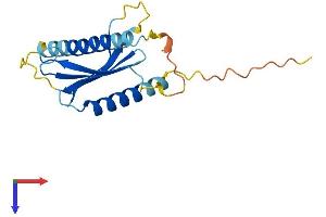 Adaptor-Related Protein Complex 5, sigma 1 Subunit (AP5S1) (AA 1-170) protein (His tag)