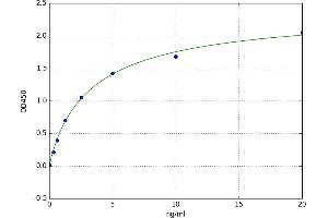 Cytochrome C Oxidase Subunit Va (COX5A) ELISA Kit