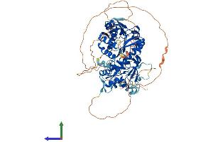 AlphaFold protein structure predicition of Mouse Recombinant Trmt1l Protein, UniprotID A2RSY6