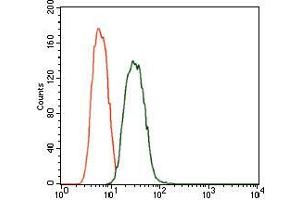 Flow cytometric analysis of A549 cells using PDE1B mouse mAb (green) and negative control (red). (PDE1B Antikörper  (AA 370-536))