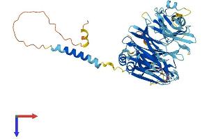 ITFG3 Protein (AA 1-552) (His tag)