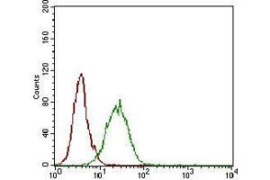 Flow cytometric analysis of A431 cells using NT5E mouse mAb (green) and negative control (red). (CD73 Antikörper  (AA 30-250))