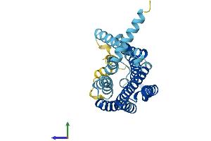 AlphaFold protein structure predicition of Human Recombinant OR10A2 Protein, UniprotID Q9H208 (Olfactory Receptor, Family 10, Subfamily A, Member 2 (OR10A2) (AA 1-303) protein (His tag))