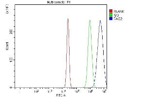 Flow Cytometry analysis of U20S cells using anti-RAG2 antibody (ABIN7601803). (RAG2 Antikörper  (AA 46-503))