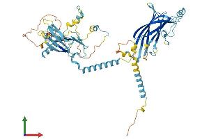 Protein Structure (PS) image for Meckel Syndrome, Type 1 (MKS1) (AA 1-559) protein (His tag) (ABIN7549465)