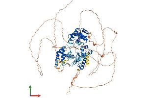 Protein Structure (PS) image for Transcription Termination Factor, RNA Polymerase I (TTF1) (AA 1-859) protein (His tag) (ABIN7563949)
