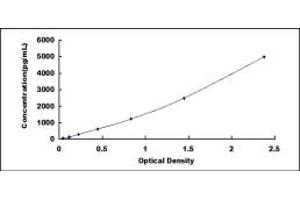 Typical standard curve