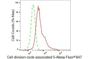 Flow cytometric analysis of Cell division cycle associated 5 expression in HeLa cells using Cell division cycle associated 5 antibody (ABIN7798019), 1:2,000). (Rekombinanter CDCA5 Antikörper)