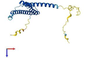 AlphaFold protein structure predicition of Human Recombinant RD3 Protein, UniprotID Q7Z3Z2