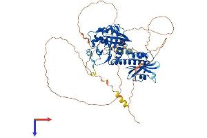 RAP1GAP Protein (AA 1-663) (His tag)