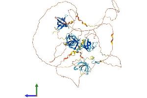 Protein Structure (PS) image for SH3 Domain Containing 19 (SH3D19) (AA 1-789) protein (His tag) (ABIN7564807)