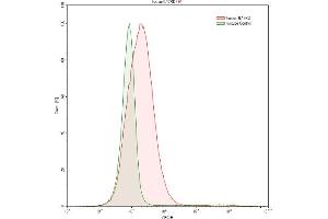 Detection of IL17RD in K562 human chronic myelogenous leukemia cell line using Anti-Interleukin 17 Receptor D (IL17RD) Polyclonal Antibody (IL17RD Antikörper  (AA 157-299))