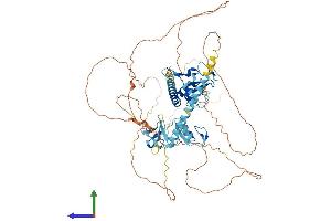AlphaFold protein structure predicition of Human Recombinant ZMYM5 Protein, UniprotID Q9UJ78