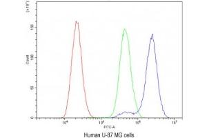 Flow Cytometry (FACS) image for anti-Brain-Derived Neurotrophic Factor (BDNF) (AA 129-247) antibody (ABIN3030195)