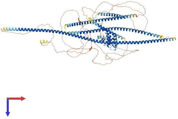 NSP5 Protein (AA 1-1067) (His tag)