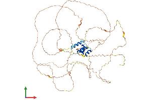 Protein Structure (PS) image for Regulatory Solute Carrier Protein, Family 1, Member 1 (RSC1A1) (AA 1-617) protein (His tag) (ABIN7555289)