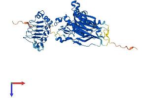 CNOT6 Protein (AA 1-557) (His tag)