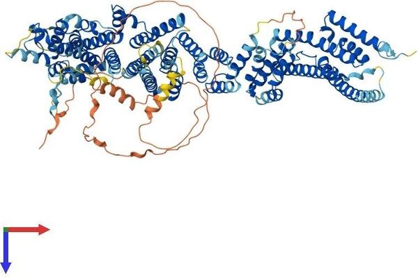 NUP107 Protein (AA 1-925) (His tag)
