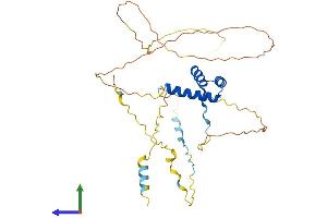 Protein Structure (PS) image for Gastrulation Brain Homeo Box 2 (GBX2) (AA 1-348) protein (His tag) (ABIN7563305)