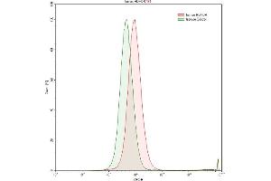 Detection of HLA-DRA in Raji human Burkitt's lymphoma cell line using Polyclonal Antibody to HLA Class II Histocompatibility Antigen, DR Alpha Chain (HLA-DRA) (HLA-DRA Antikörper  (AA 27-216))