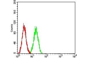 Flow cytometric analysis of SK-OV-3 cells using CDX2 mouse mAb (green) and negative control (red). (CDX2 Antikörper  (AA 1-180))